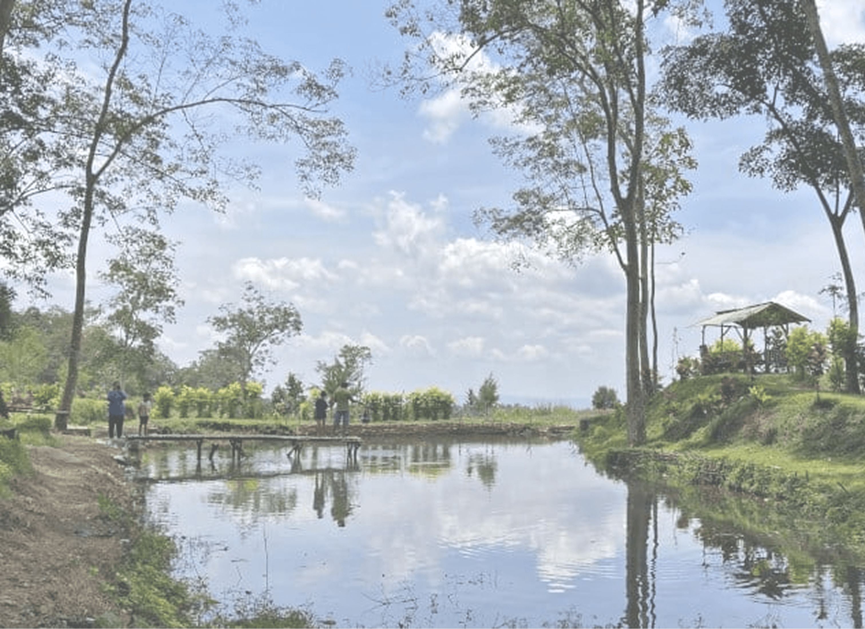 Pemandangan Desa Karangrejo 3